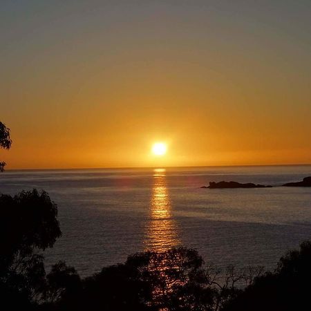 Bay Of Fires Seachange Ocean Frontage Binalong Bay Extérieur photo