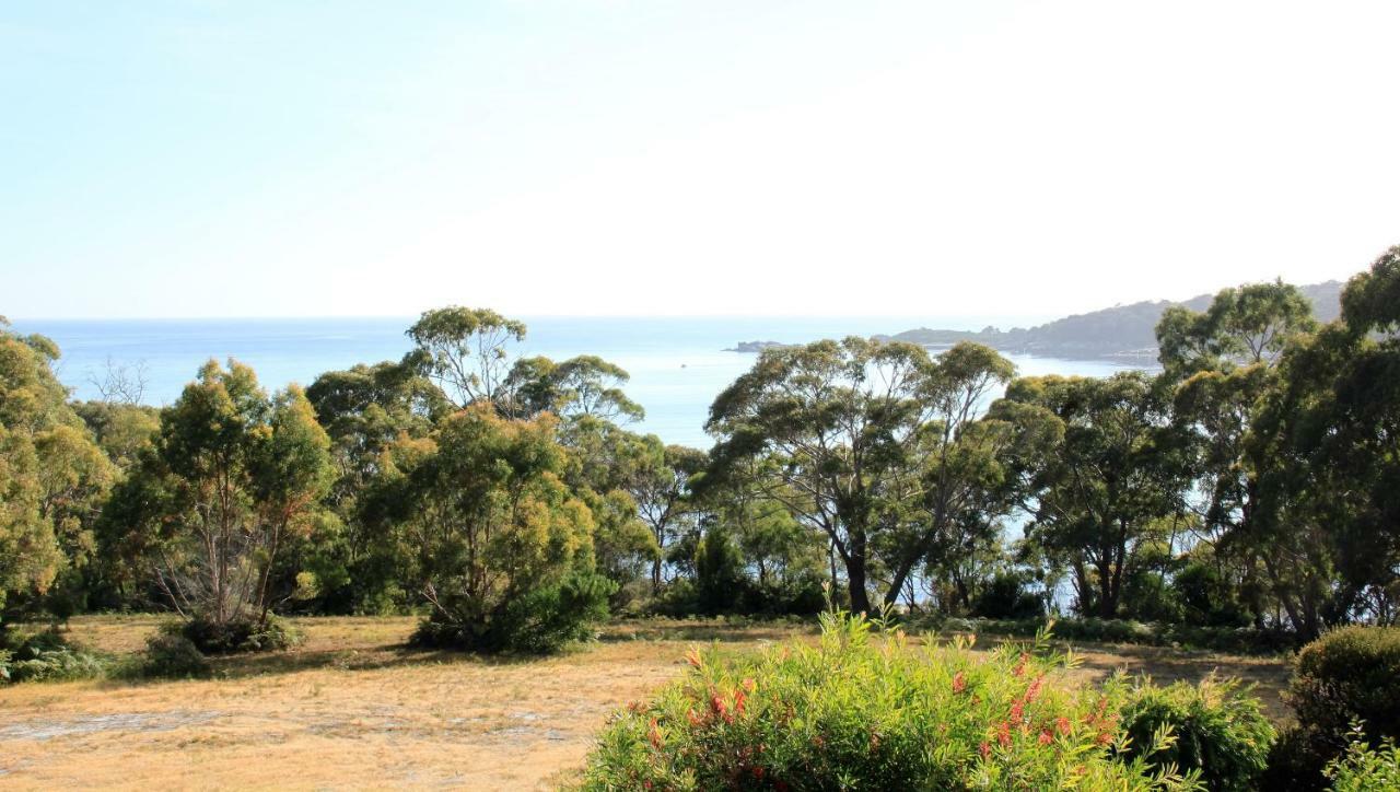 Bay Of Fires Seachange Ocean Frontage Binalong Bay Extérieur photo