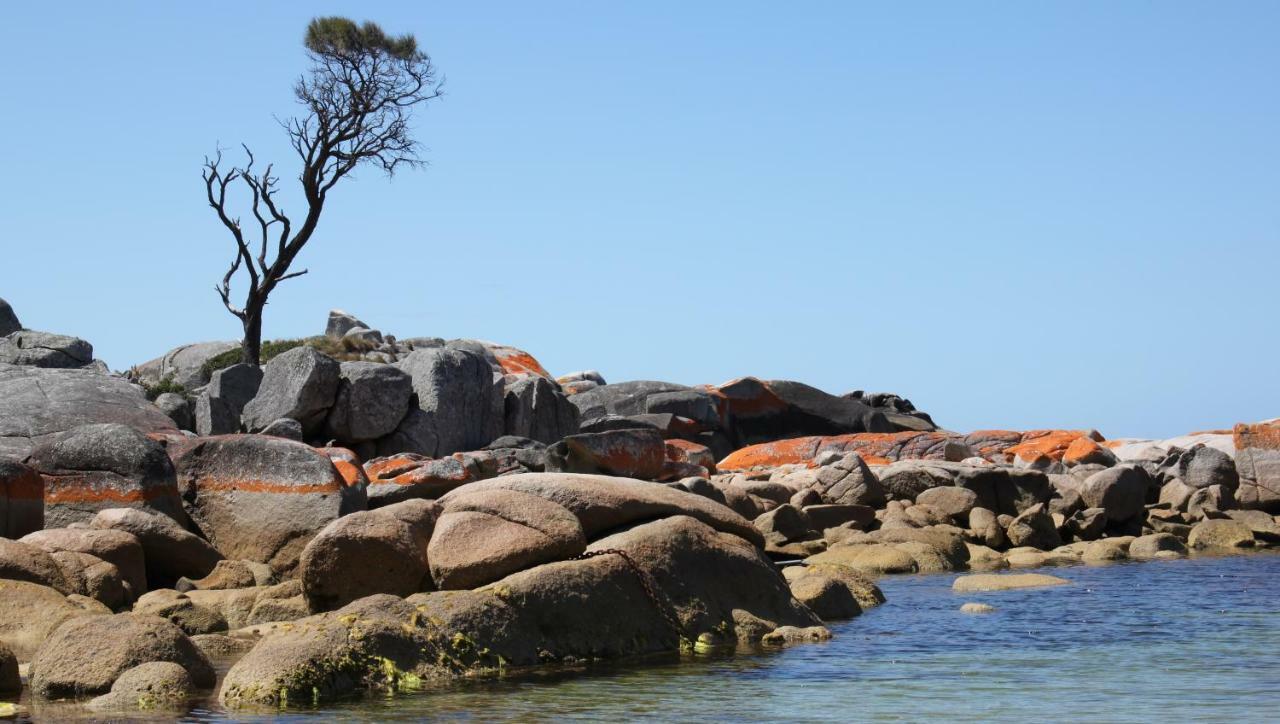 Bay Of Fires Seachange Ocean Frontage Binalong Bay Extérieur photo