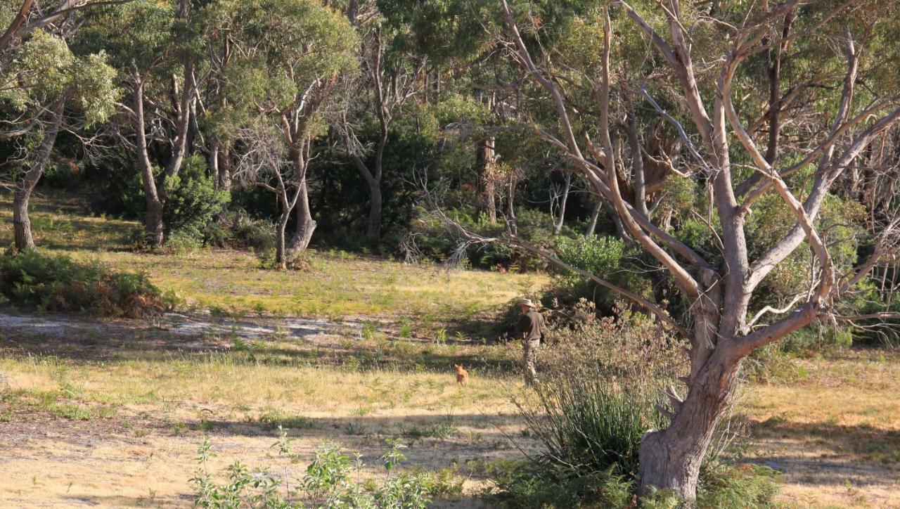 Bay Of Fires Seachange Ocean Frontage Binalong Bay Extérieur photo