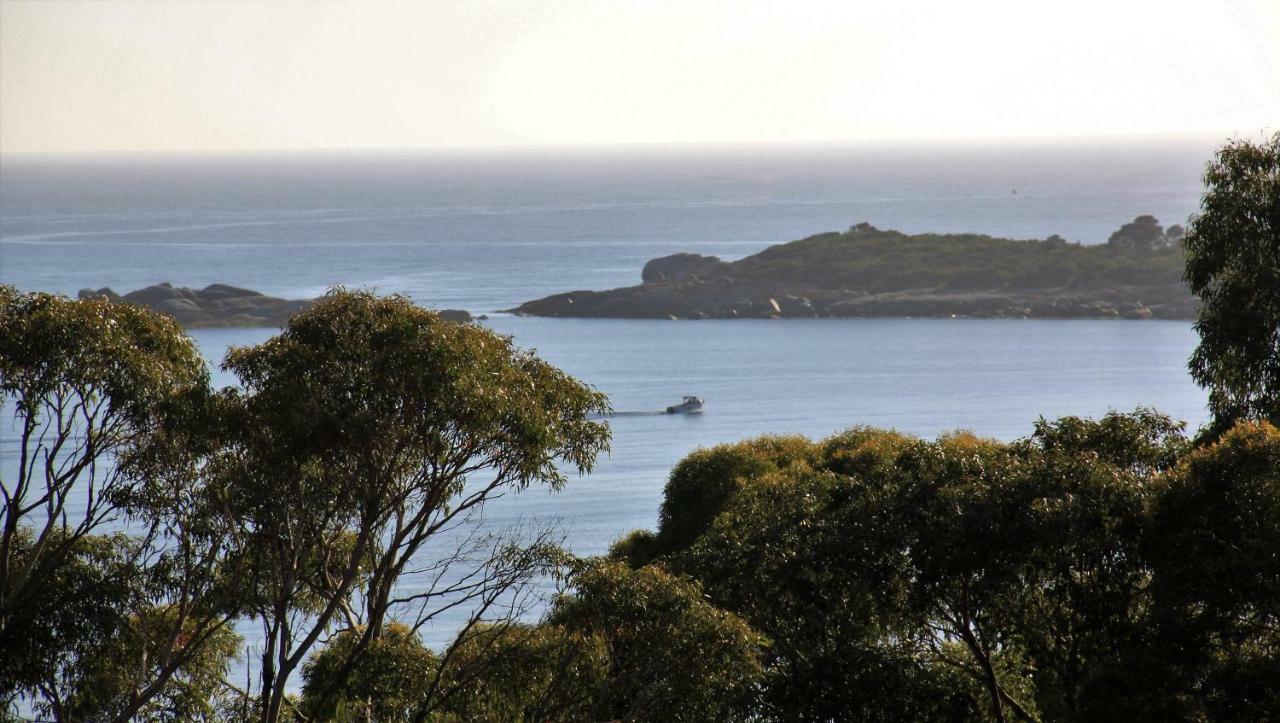 Bay Of Fires Seachange Ocean Frontage Binalong Bay Extérieur photo